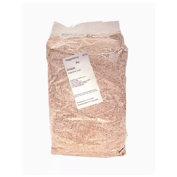 Finger Millet 5Kg / ዳጉሻ